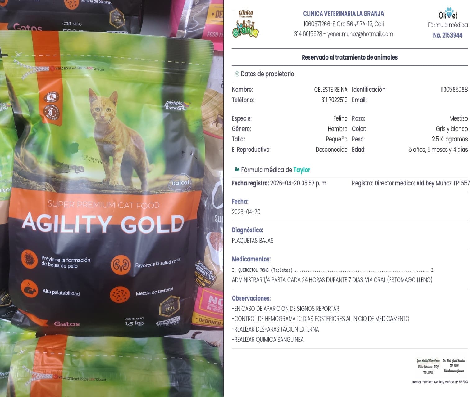 Nutrición y Tratamiento