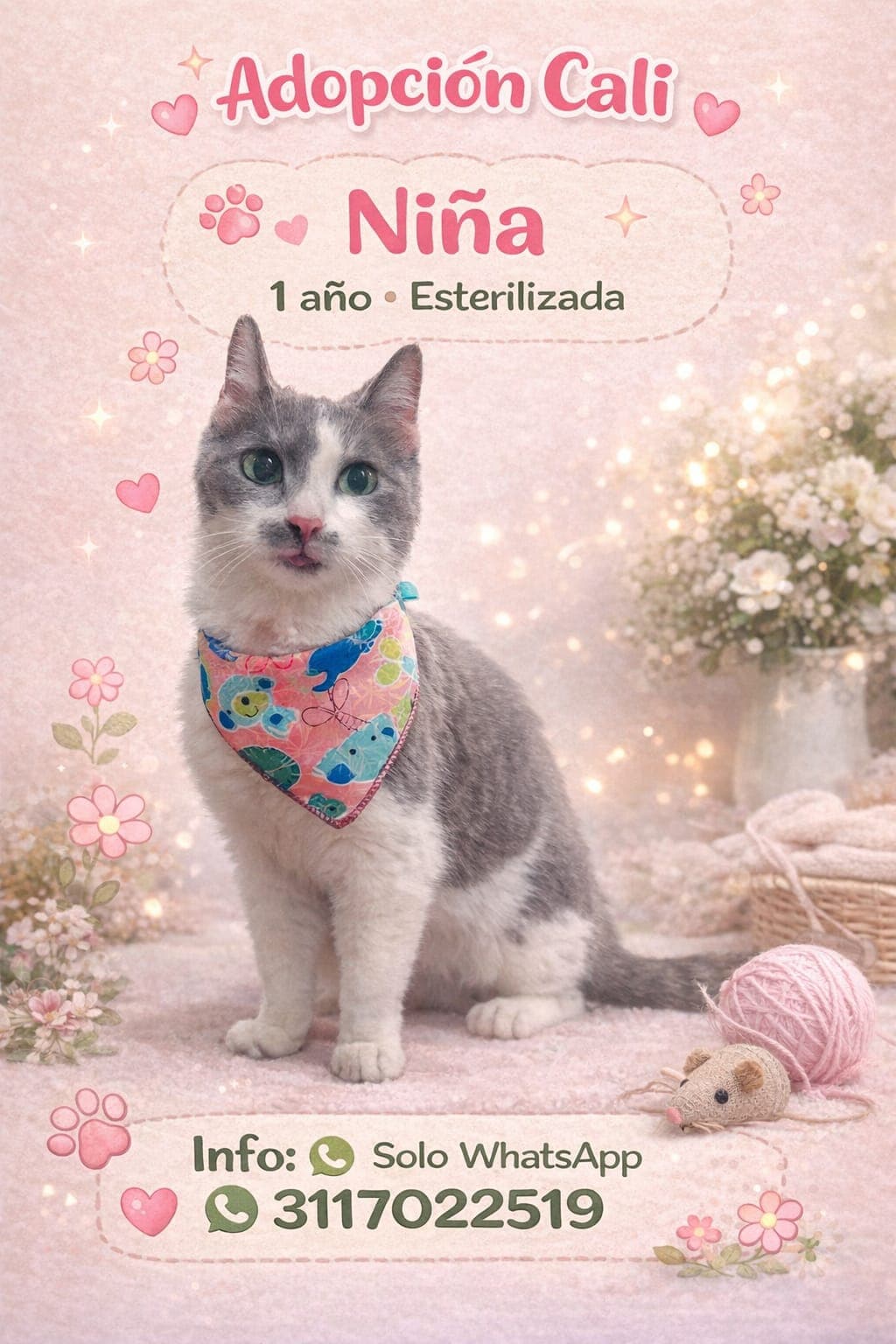 Taylor - Imagen Promocional